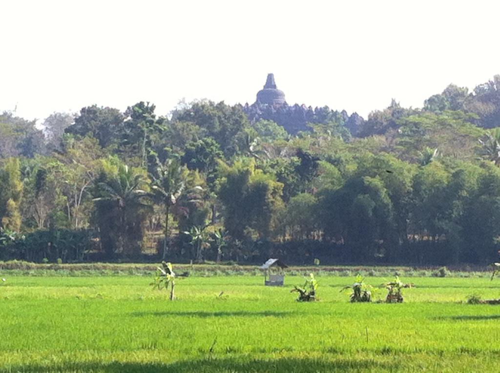 Anugrah Borobudur 1 & 2 Магеланг Экстерьер фото